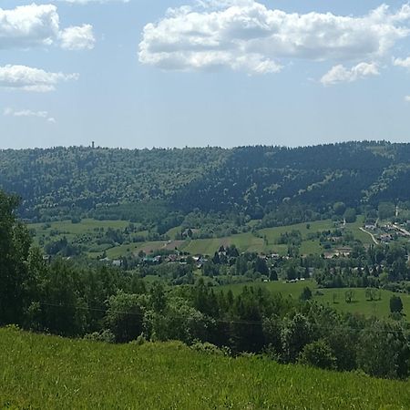 Domki Brzozowka W Bieszczadach Ustrzyki Dolne Exterior foto
