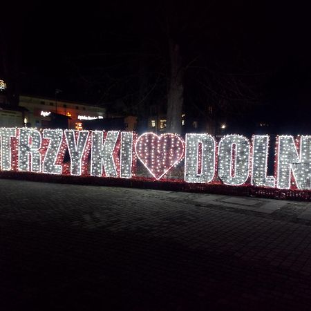 Domki Brzozowka W Bieszczadach Ustrzyki Dolne Exterior foto