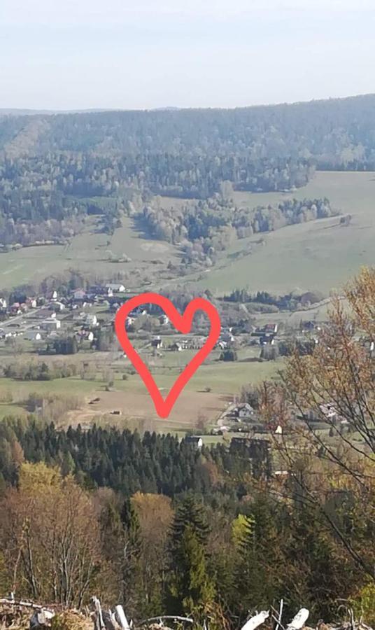 Domki Brzozowka W Bieszczadach Ustrzyki Dolne Exterior foto