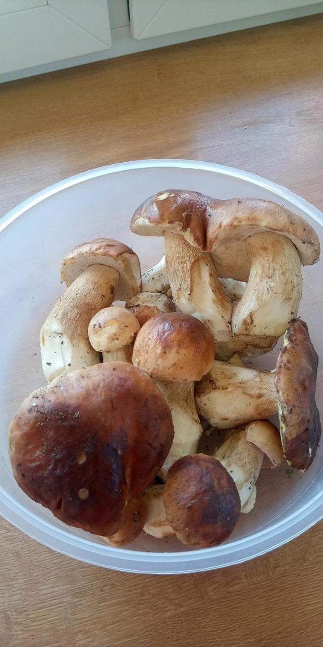Domki Brzozowka W Bieszczadach Ustrzyki Dolne Exterior foto