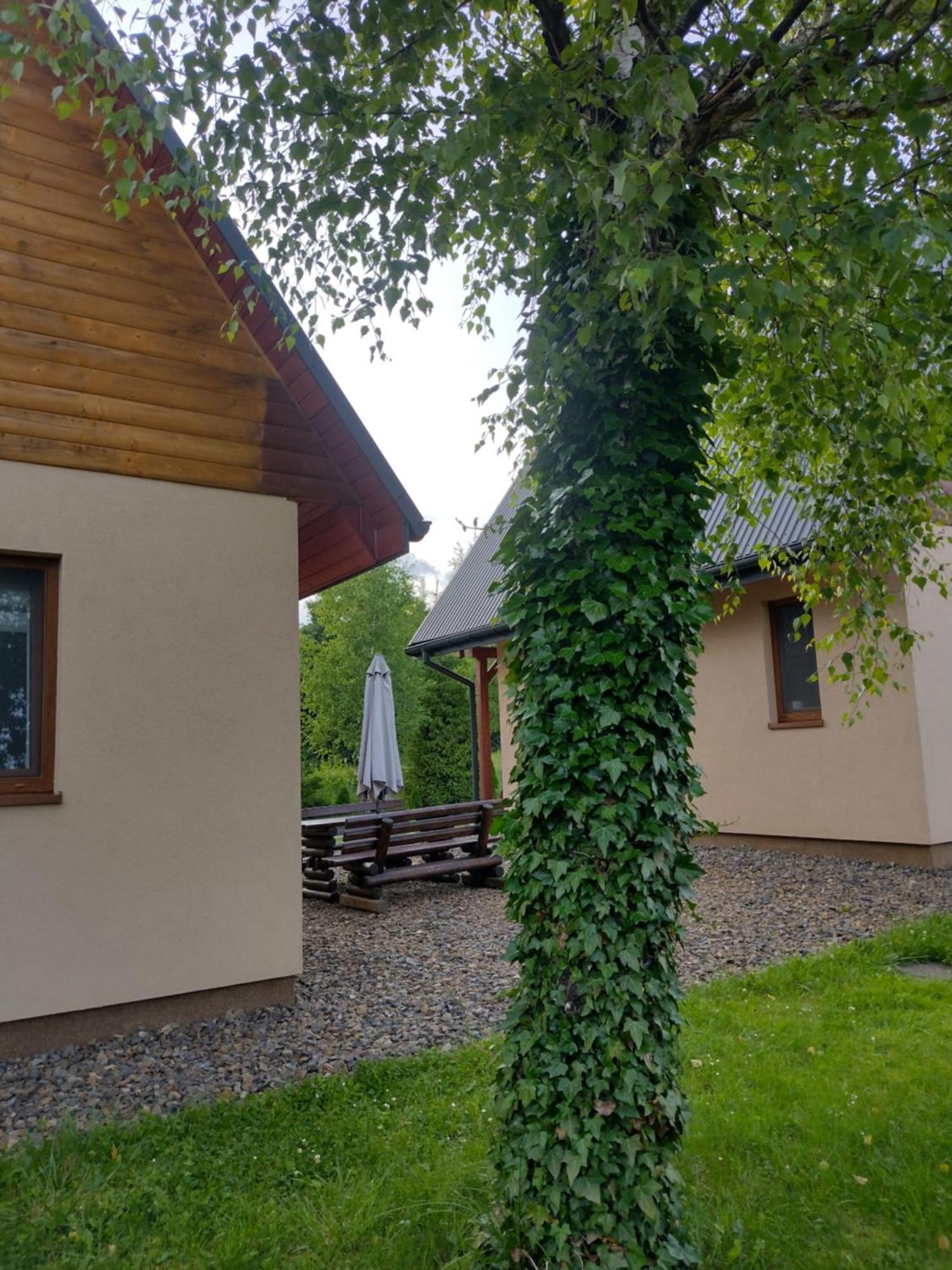 Domki Brzozowka W Bieszczadach Ustrzyki Dolne Exterior foto