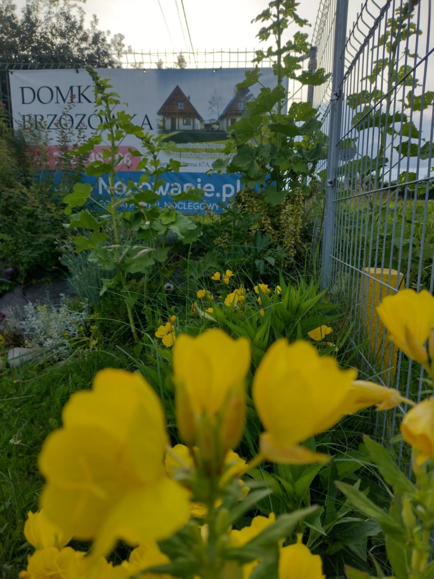 Domki Brzozowka W Bieszczadach Ustrzyki Dolne Exterior foto